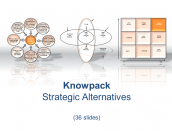 Strategic Alternatives - 36 diagrams in PDF